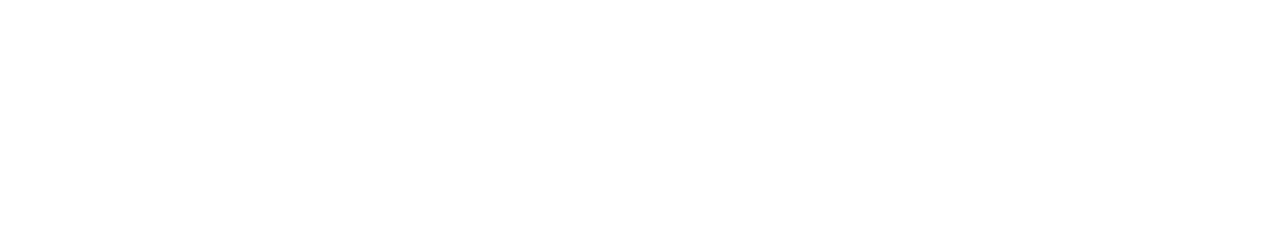 Buddiely Logo